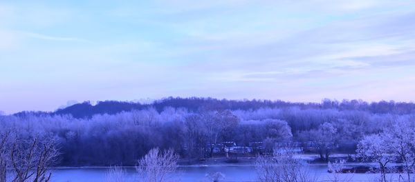 A little frost in the trees, across the river...