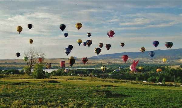 (3) A touch of pink among these hot air balloons d...