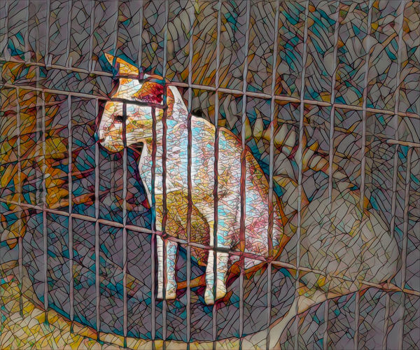 Thai Cat with Ai Remix layer blended at 24% Opacit...