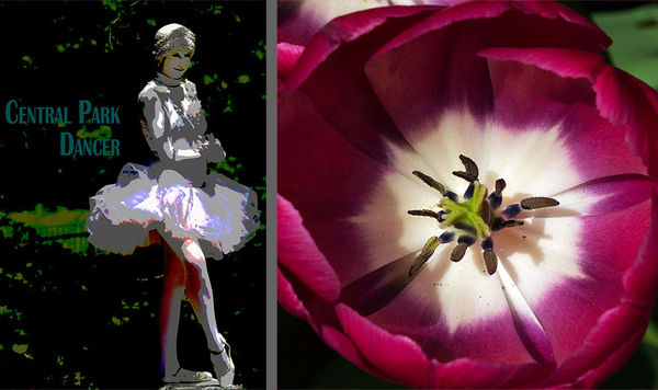 Dancer and tulip...