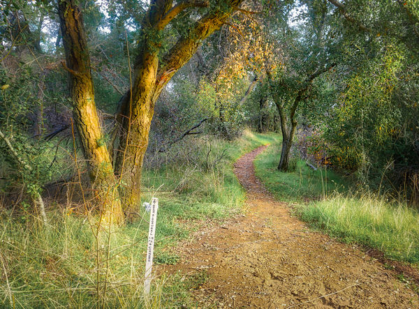 Late afternoon on the return trail...