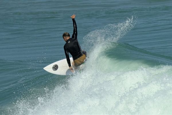 Surfing...