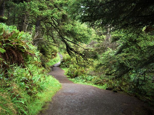 (5) An inviting green path that led us to the wate...