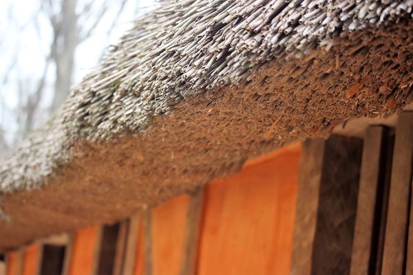 Thatched roof...