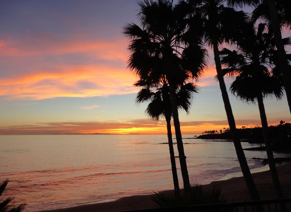 (4) From Laguna Beach, CA.  Palm trees & sunsets b...