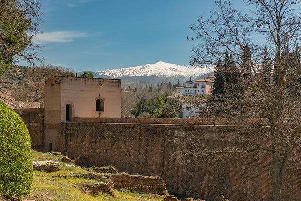 The Sierra Mts. From Inside the Alhambra Walls...