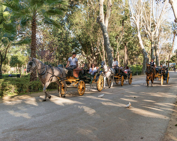 Seville - Ride Through the Park...