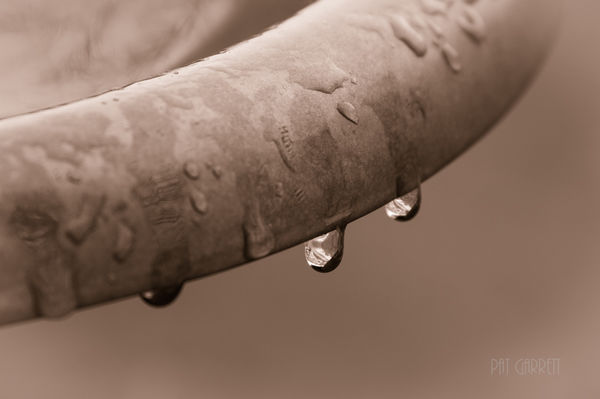 "Dripping" from a water fountain on a rainy snowy ...