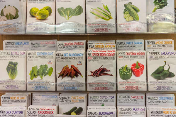 Seed Packets are in the stores...