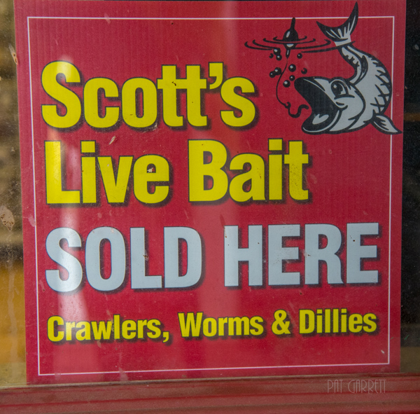You need bait because fishing season has begun...