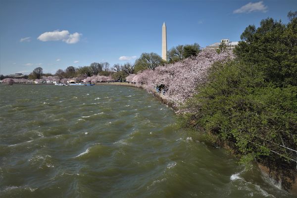 (5) That's the Washington Monument which is curren...
