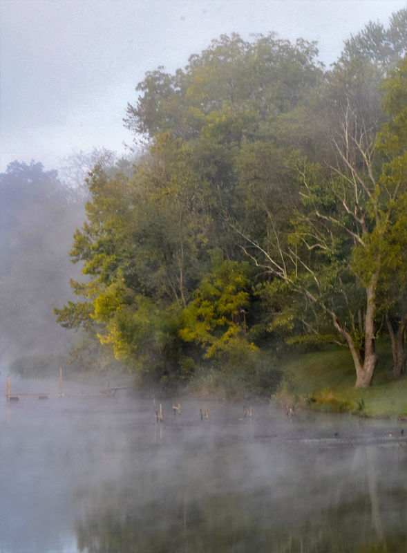 Misty morning on Yellow Creek...