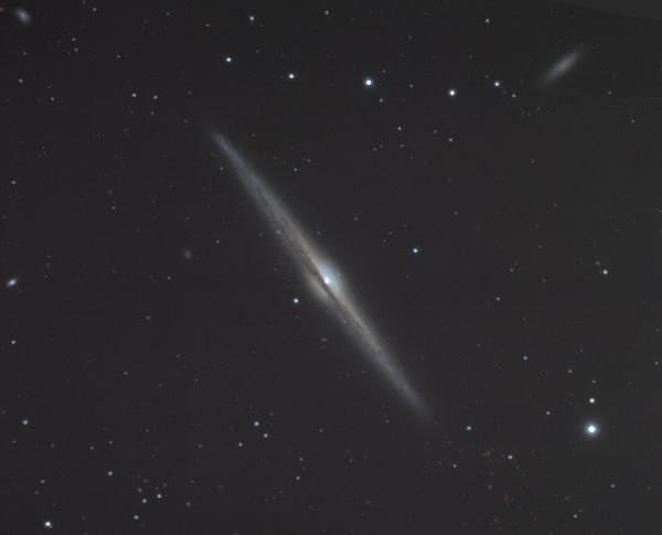 Needle Galaxy (NGC4565)(65x30sec,1x1binned,MedGain...