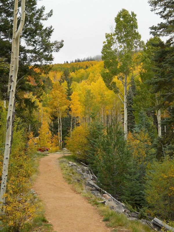 Aspen Vista Trail--one of the many great places to...