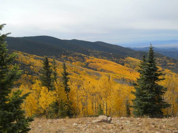 Autumn in the high country...