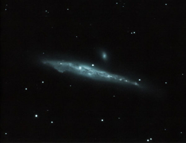 Whale(NGC4631)(56x30sec_1x1binned_LowGain)_MeanSD_...