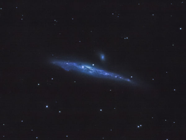 Whale(NGC4631)(56x30sec,1x1binned,LowGain)_PI_Crop...