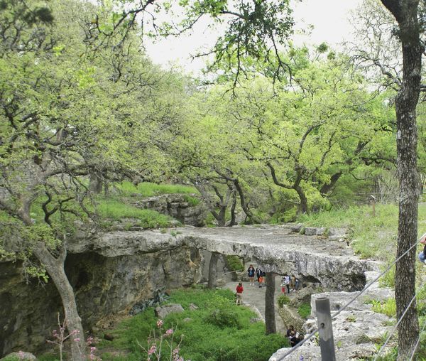 Natural Bridge Caverns a little North of San Anton...