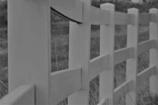 White Fence...