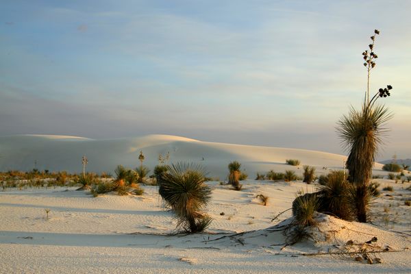 Golden hour just after sunset at White Sands, N.M....