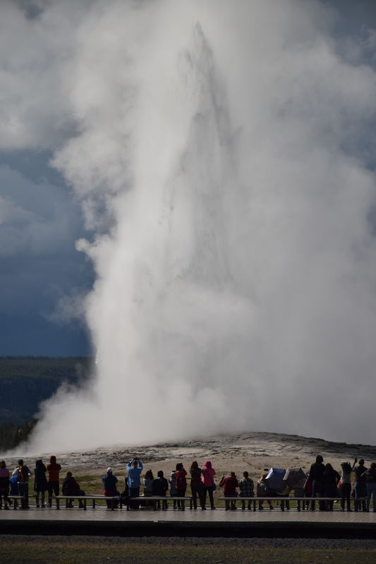 "Old Faithful" at the top...