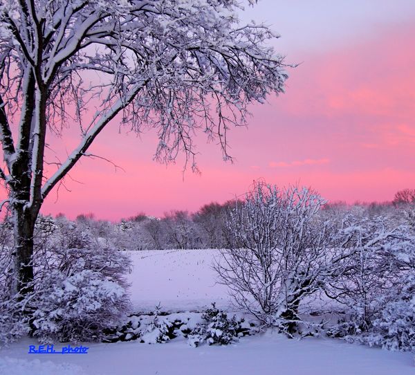 Winter AM sky in Connecticut...