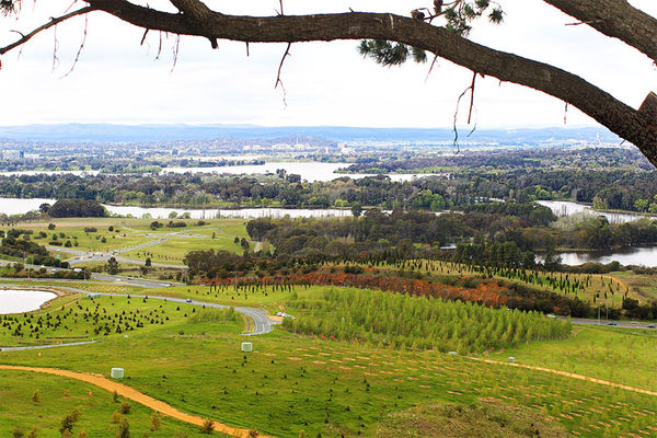 From Dairy Farmers Hill overlooking the Aboretum...