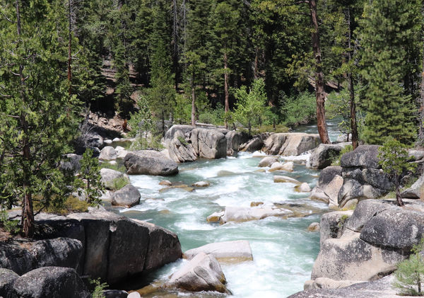 The Middle Fork of the Stanislaus River...