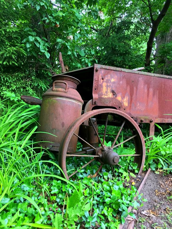 Mother's pride and joy, a rusty old spreader she g...