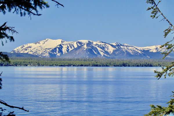 Yellowstone Lake vista...