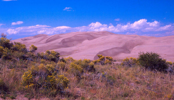 Colorado Sand Dunes...