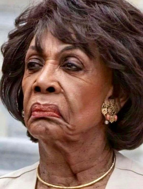 The Face of the Democrat Party...