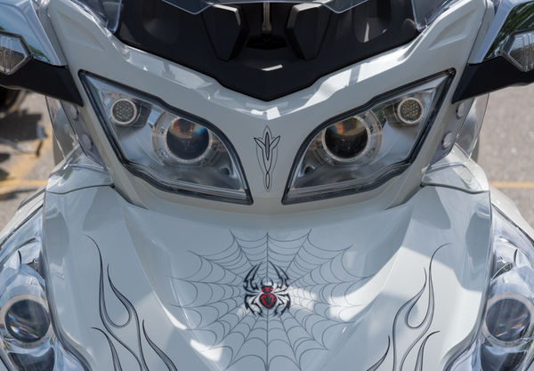Very detailed and really looks like a spider....