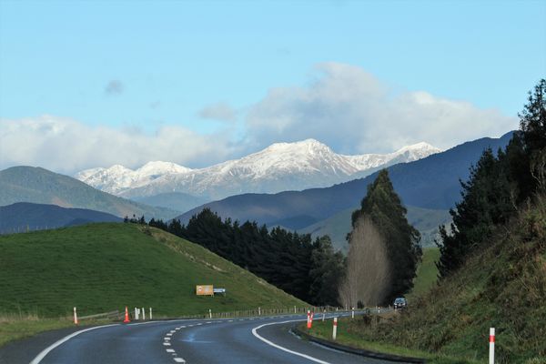 My view on the way to Pukaha Mt Bruce a bird wild ...