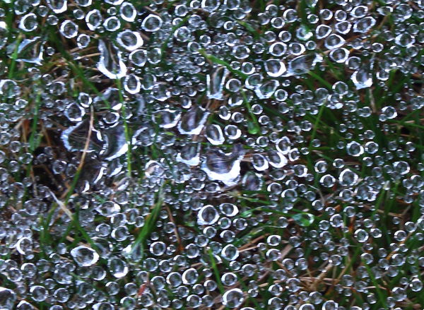 Raindrops on spider webs....