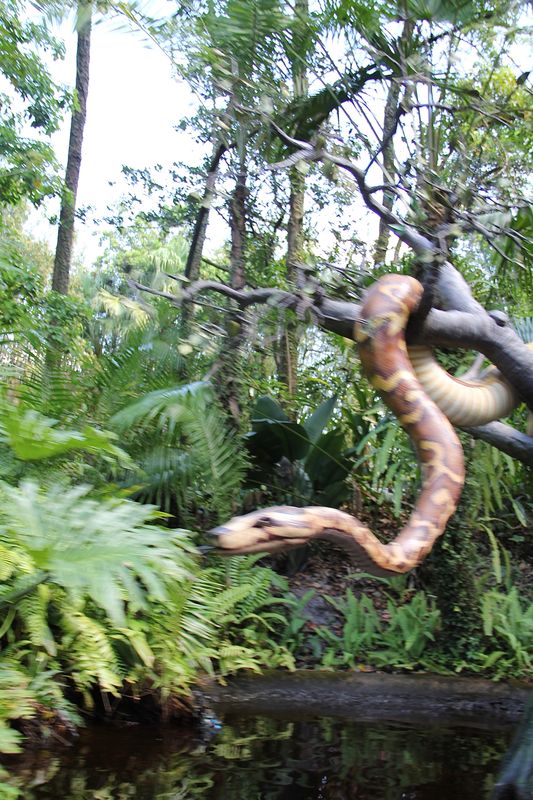 An out of focus "Snake" with a naturally occurring...