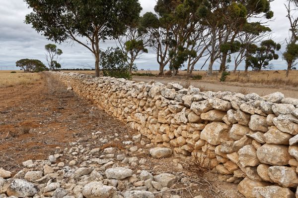 Due to the rocky nature of the soil, dry stone wal...