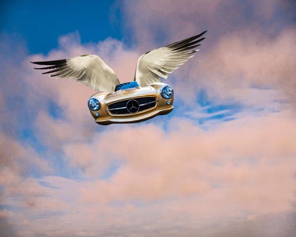 Rare Gullwing Coming in for Landing...