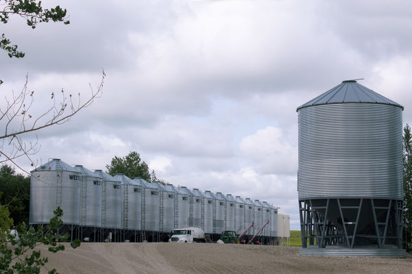 Grain bins all lined up...