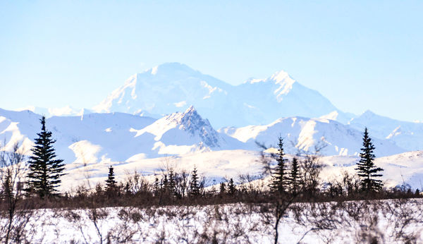 Denali in the distance...