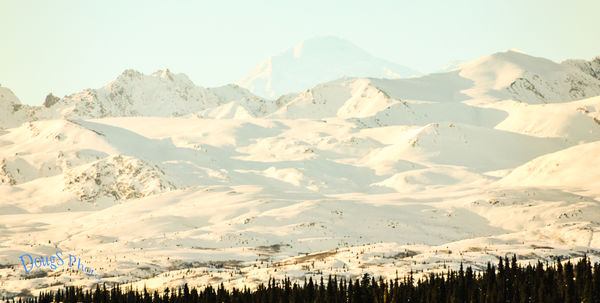 Another view of Denali...