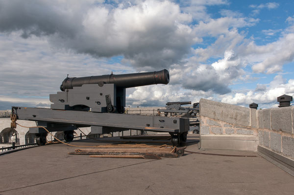 The Guns of Old Fort Henry...