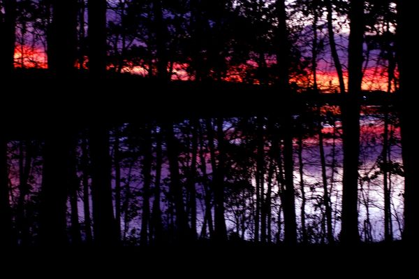 Pink and Purple clouds reflected in lake Hamilton ...