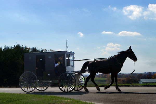 Amish uber...