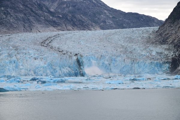 glacier still calving, new icebergs in water...
