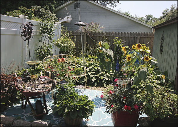 Fairy Garden and more potted perennials......
