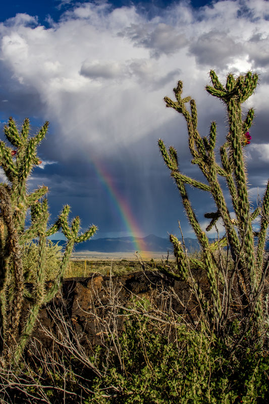 Lava, cholla cactus, and a Rainbow, Carrizozo, NM...