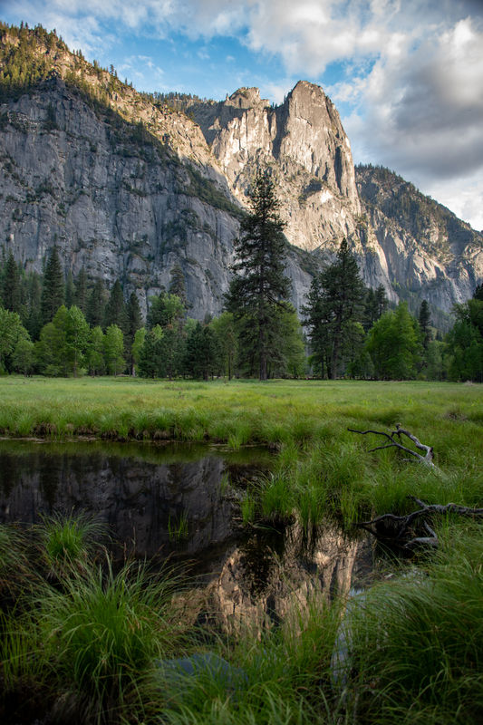 Yosemite Meadow and Monolith...