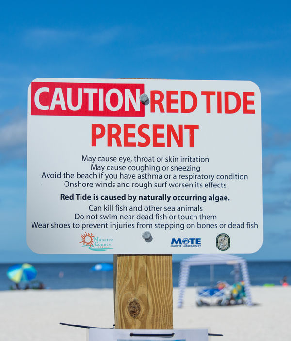 Red Tide Warning...