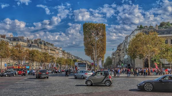 Avenue Champs-Elysees...